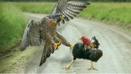 微信截图_20240626214549.png 微信截图_20240626214549.png