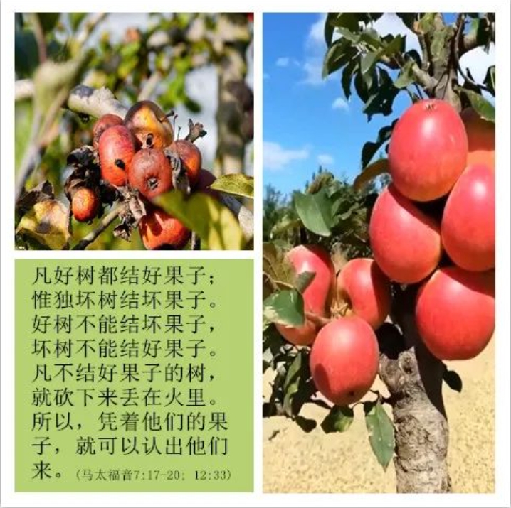 微信截图_20240315220215.png 微信截图_20240315220215.png