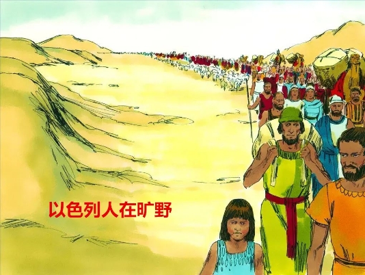 微信截图_20240611193153.png 微信截图_20240611193153.png
