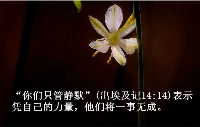 截图20240615061944.png 截图20240615061944.png