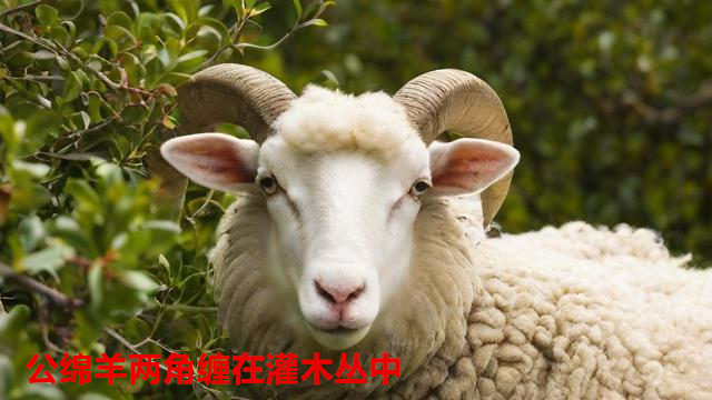 f7e25713dc621dffa9d37a35ded39afe.jpg