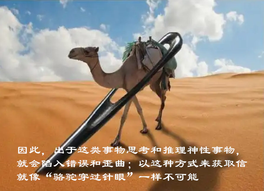微信截图_20250607164232.jpg