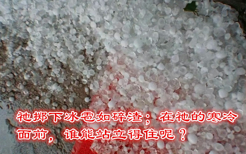 微信截图_20250608154416.jpg